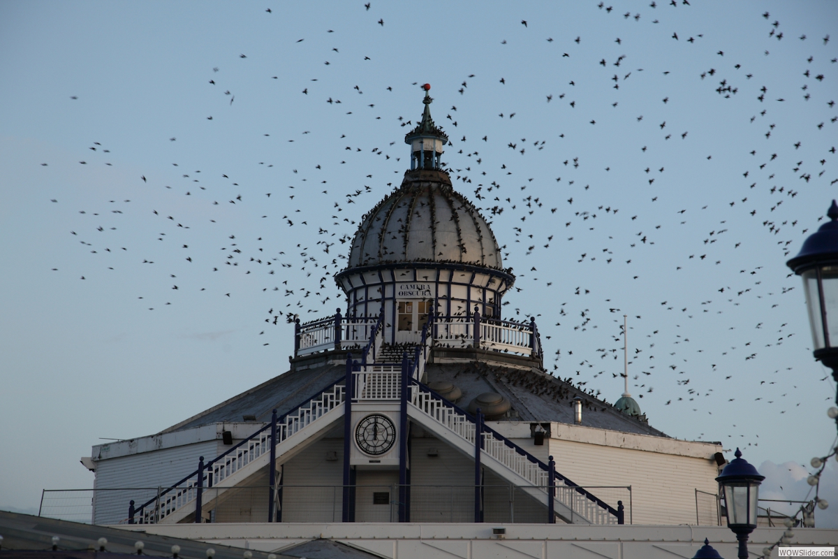 eastbourne // england