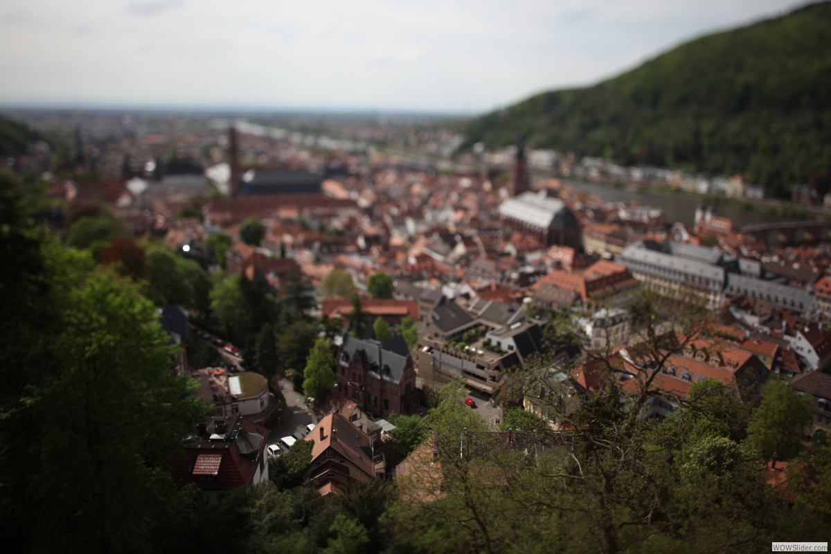 schloss // heidelberg