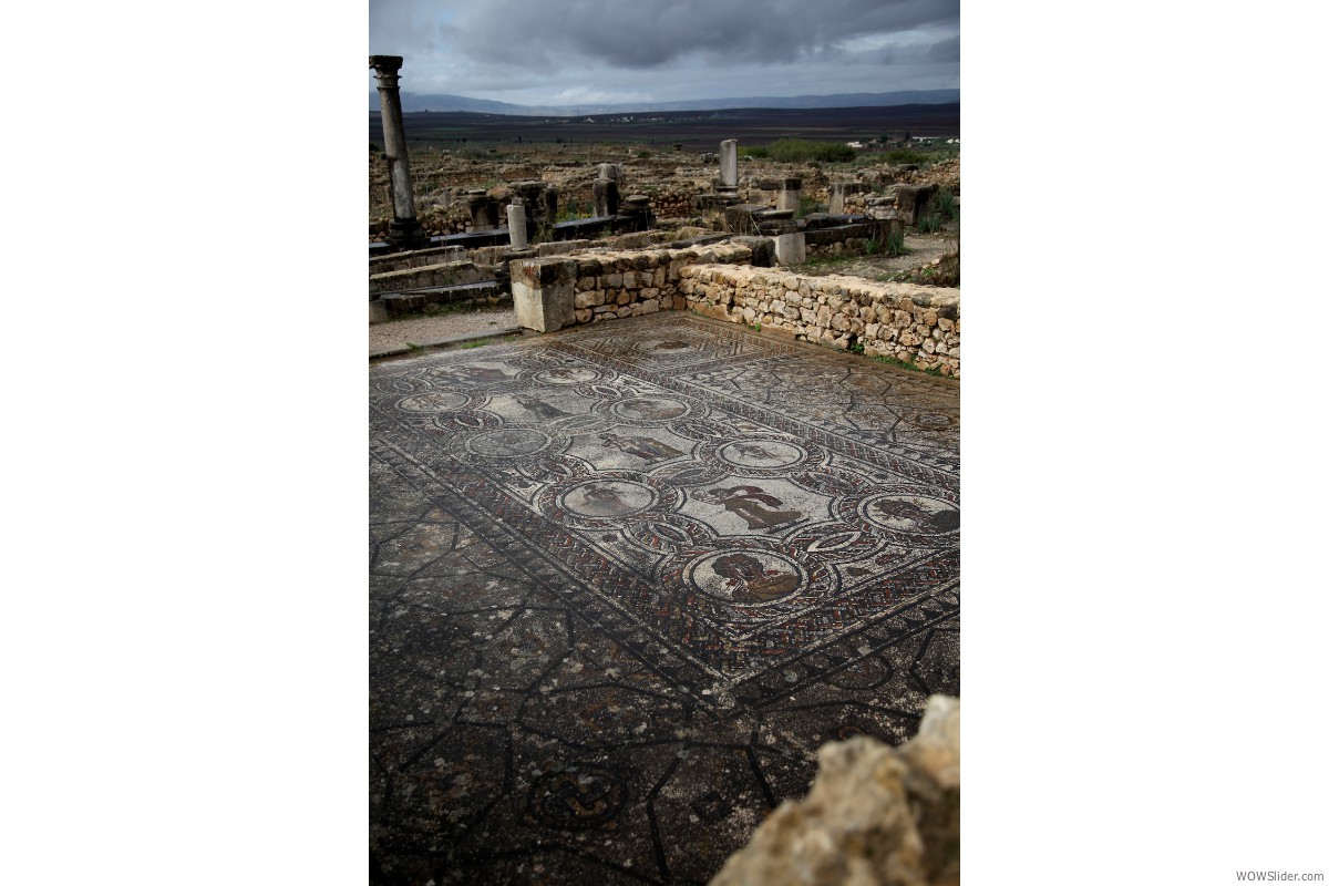 mosaik // volubilis